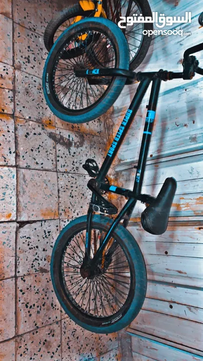 قاري BMX للبيع