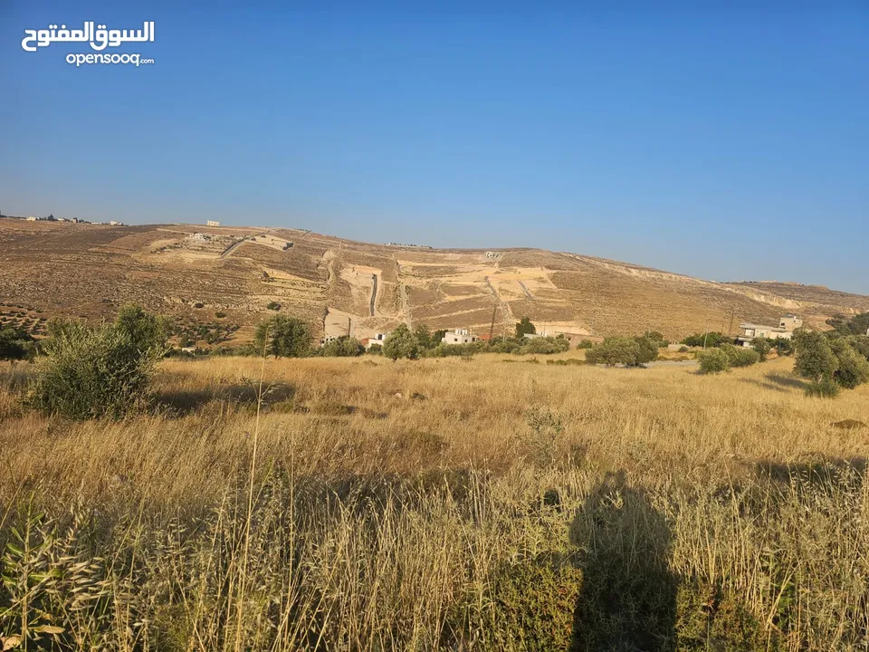 ارض في منطقة الكمشة 526 متر بتجنن