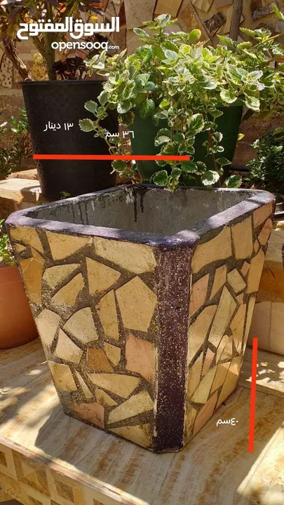 احواض زريعه اسمنتيه قابله للبدل على طيور