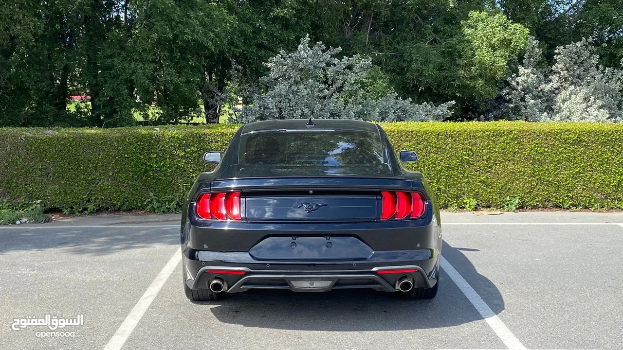 Ford Mustang EcoBoost  2020