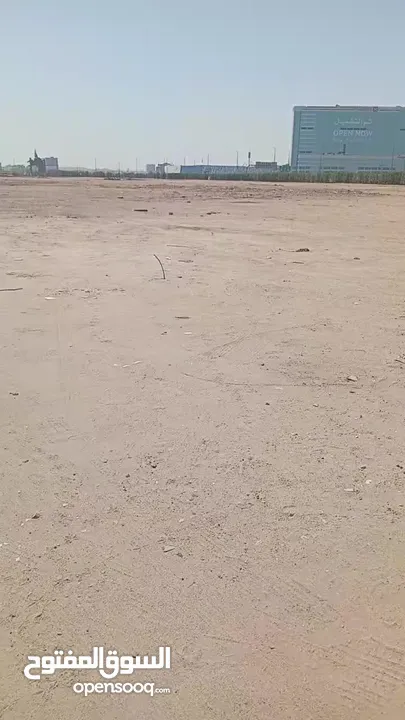 كروان لايفوتكم عشاق الهددد الخارجي اعرض لكم هدد داخلي وخارجي كروان الابينو هولدي عيون حمره