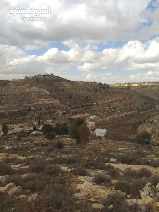 دورا جبل ابو عشره