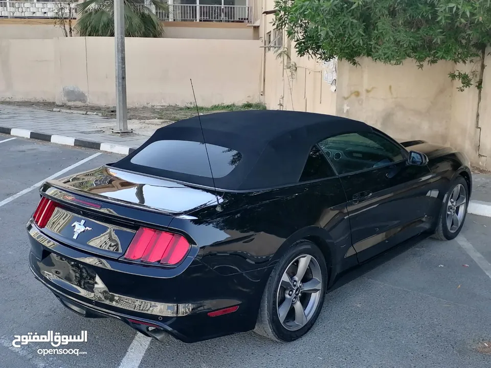 فورد موستنج ستة سلندر 2017 كشف Ford Mustang V6 Convertible