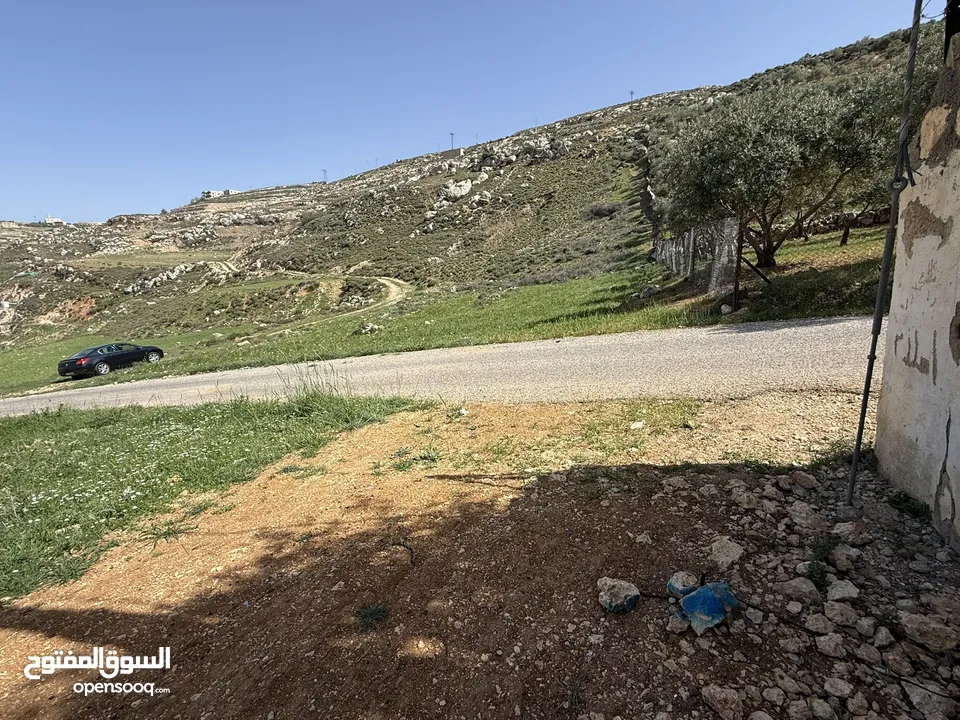 ارض للبيع قرمية حسبان 3100 متر لكامل القطعة قابل للأقساط