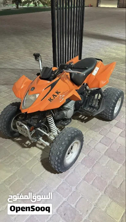 Arctic cat 300cc