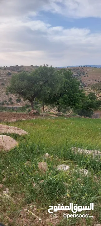 الكمشه حوض المكمان 3405 م على شارعين اطلاله شماليه غربيه رائعه مستصلحه ومسوره قرب الخدمات