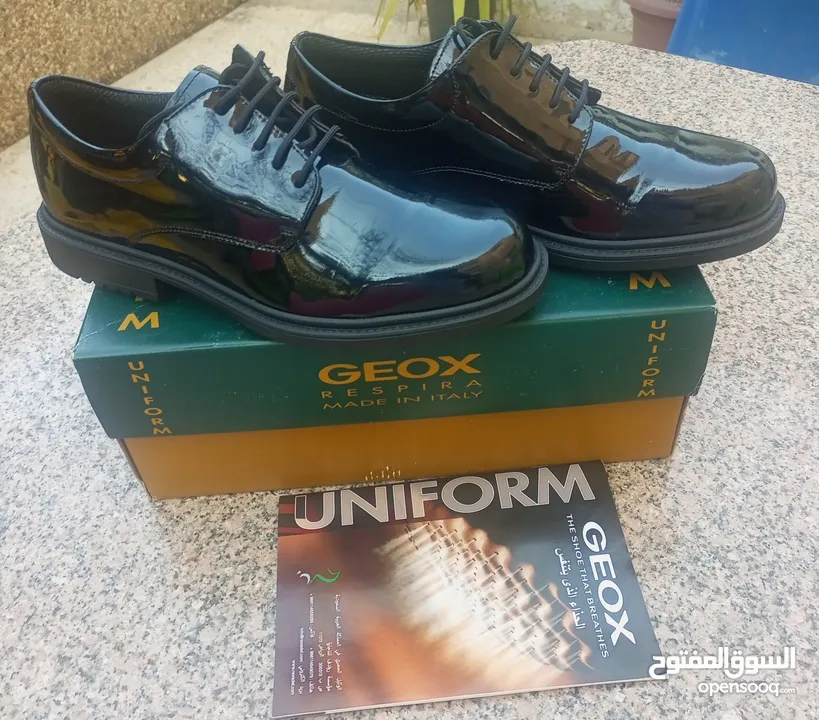 حذاء رجالي نوع GEOX الاصلي جديد