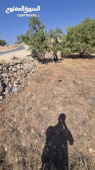 ارض للبيع من المالك مباشره