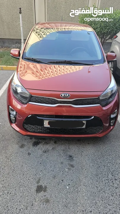 KIA PICANTO 2019 for sale