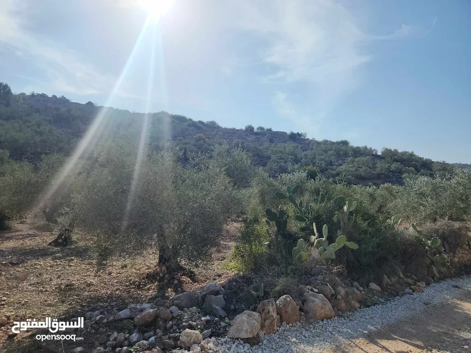 حصة 470م منطقة المنتزة