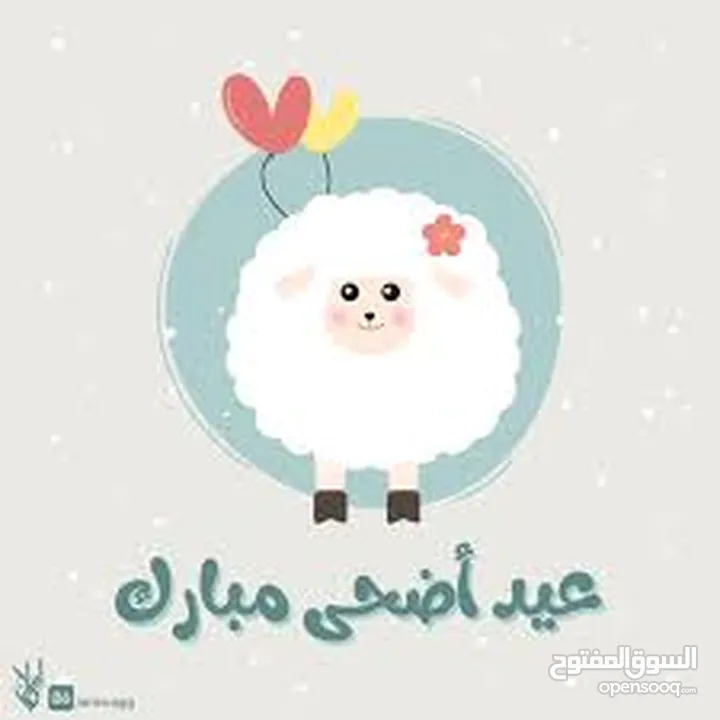 لحام جزار اضاحي متنقل ... ذبح ... سلخ ... تقطيع