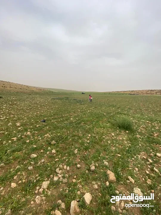 ارض مساحة 3,757 دونم للبيع بسعر مغري في منطقة الدليله