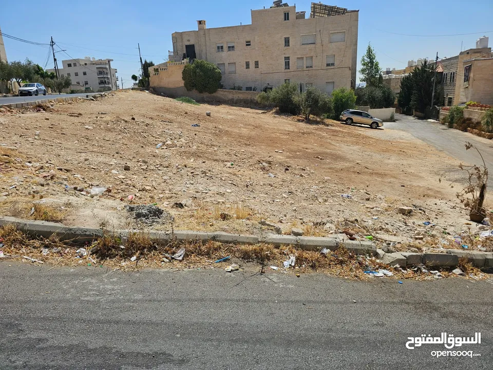 ارض للبيع طبربور ابو عليا