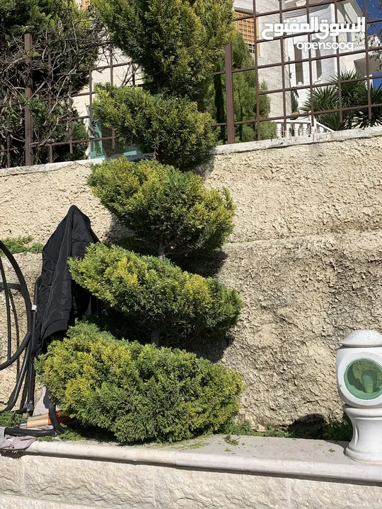 فني تنسيق حدائق