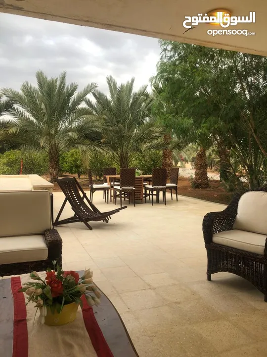 مزرعة في الشونة الجنوبية / غور نمرين - ref: 12165