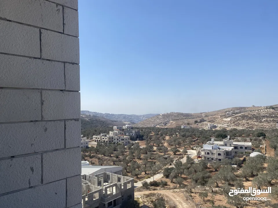 شقق عظم جديدة