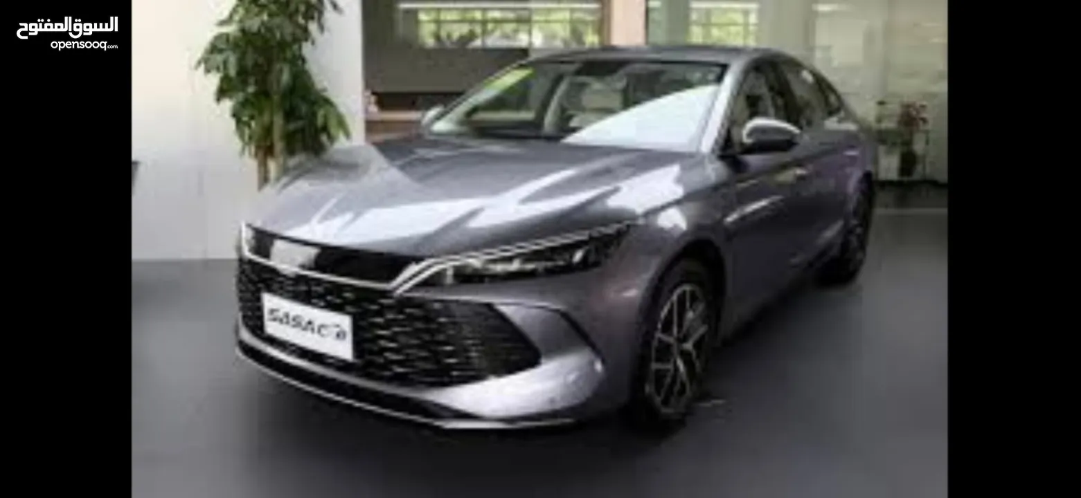 byd qin L 120km hyprid 2024