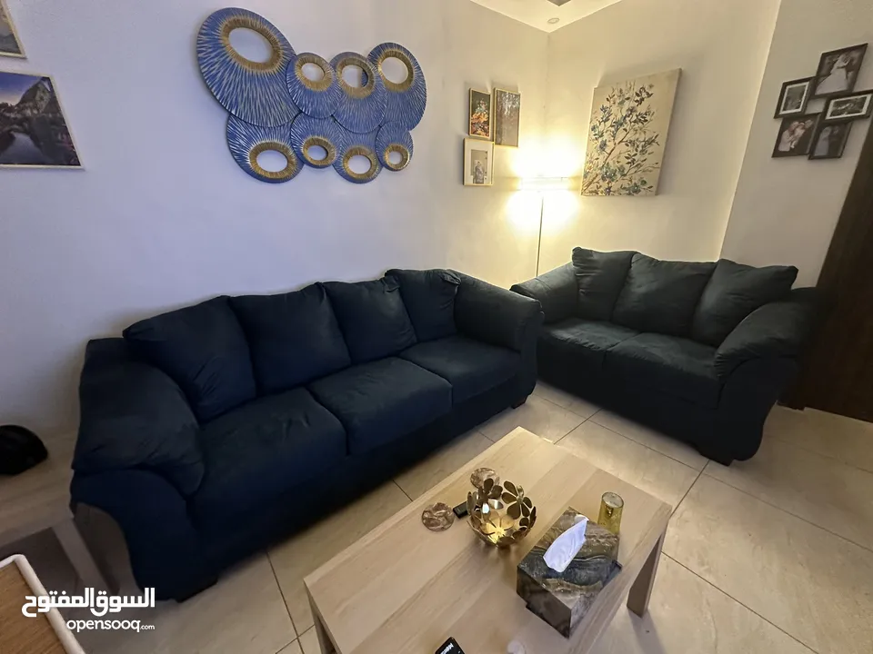 طقم أمريكي دب من محلات أشلي بحالة ممتازة