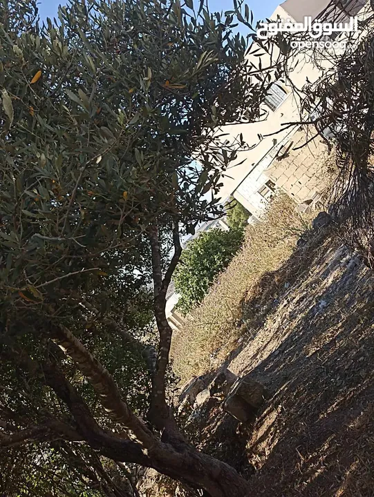 بيت مستقل مع ارض دنم   للبيع