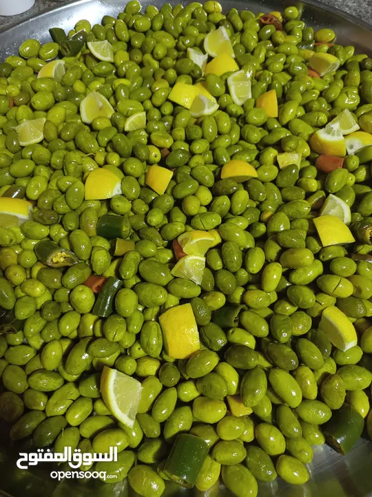 زيتون أخضر بلدي جبال جرش