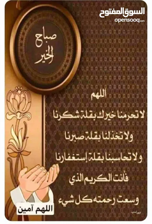 ارانب بلديات  للبيع