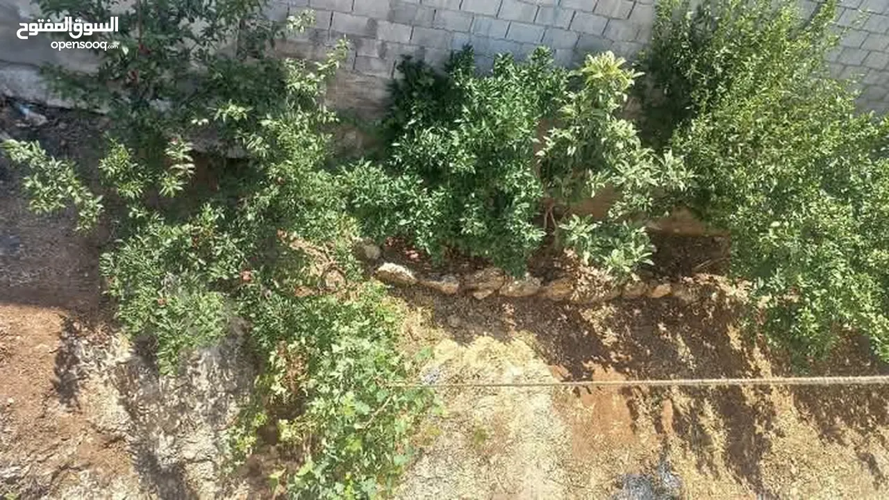 منزل للبيع