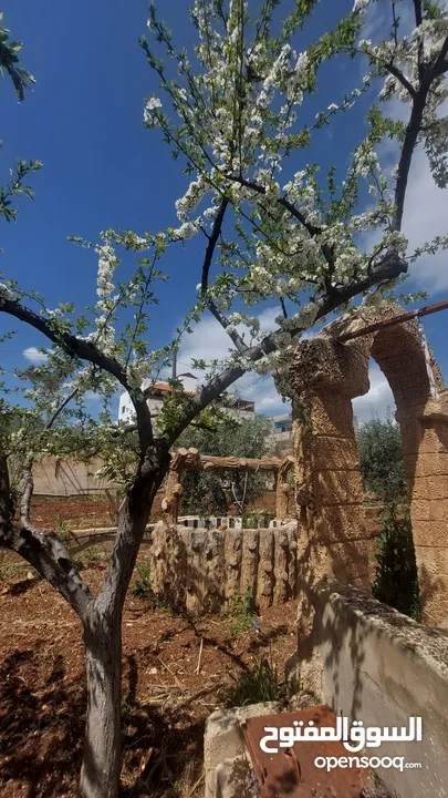 بيت مستقل للبيع في الجبل الأخضر