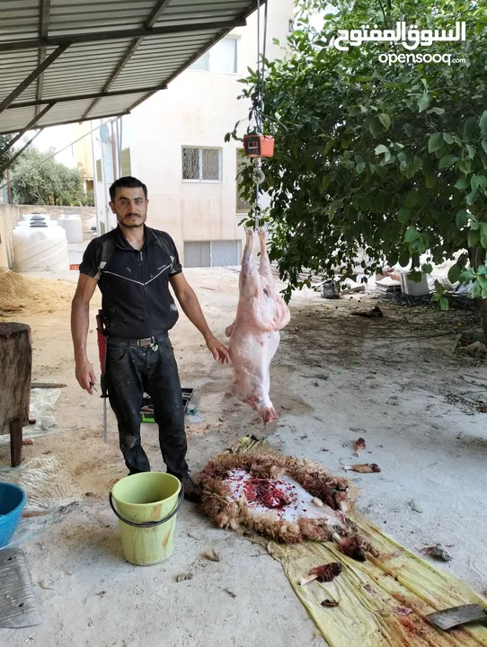 لحام جزار متنقل لذبح جميع انواع الاضاحي سارع بلحجز