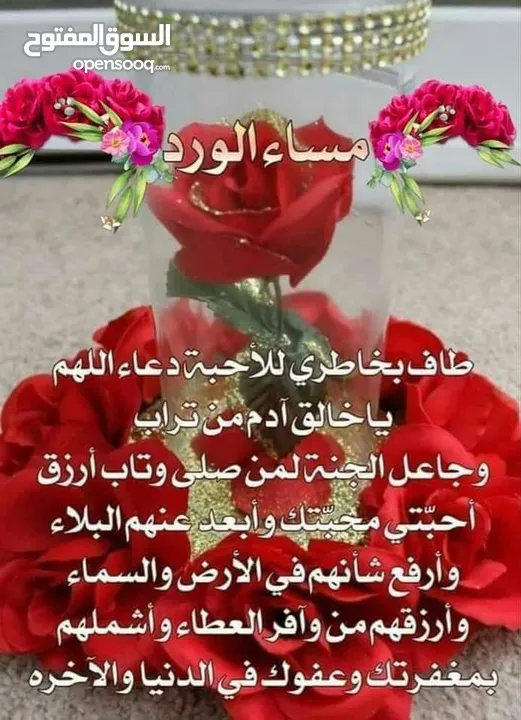 مطلوب خاروف للبيع في اربد شغل دبح واكل