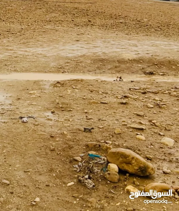 ارض للبيع من المالك مباشرة في بلدة العوجا الهادئة.. مساحة 1600 متر مربع تصنيف أ