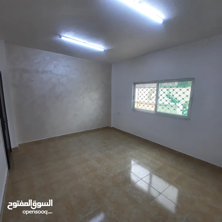 شقه للأيجار