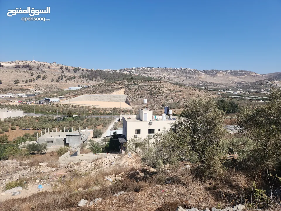 حصة في منطقة المشتل