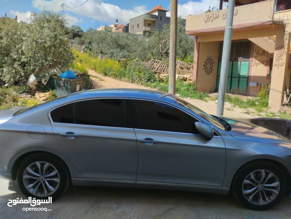 سامر قلالوه