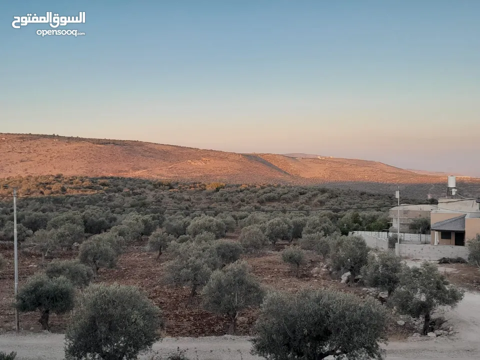 ارض اوصلها كل الخدمات صالحه للسكن