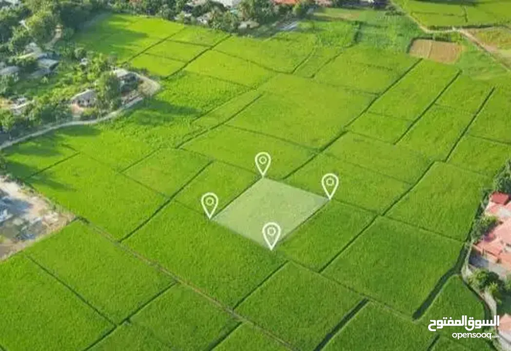 فرصة استثمارية ذهبية – أرض للبيع في روجيب نابلس تصلح لسكن او لمشروع تجاري تصنيف B متوفر كافة الخدمات