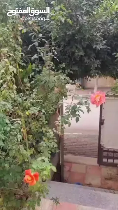 فيلا جاهزه للسكن  ضاحية الجنان ومن المالك مباشره