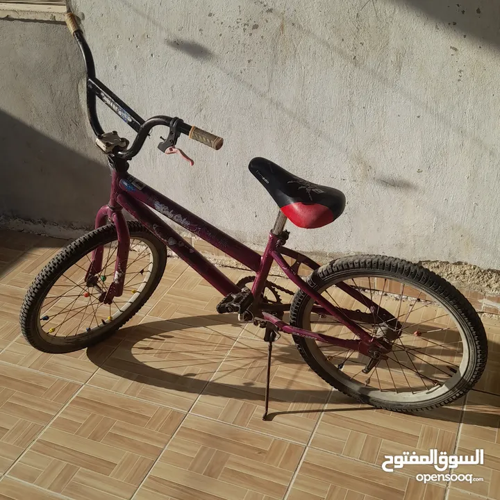 بسكليت نمرة 20 للبيع