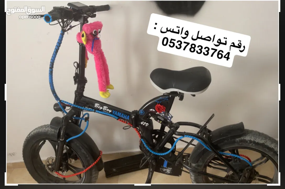 بسكليت كهربا