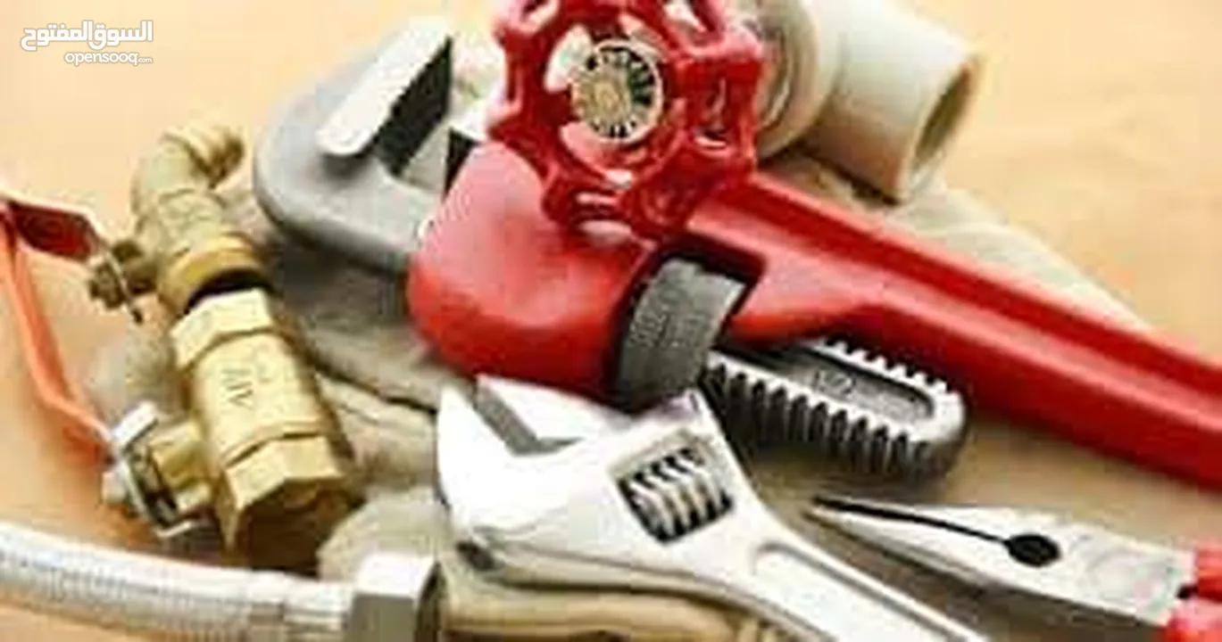 Electrical and plumbing home service