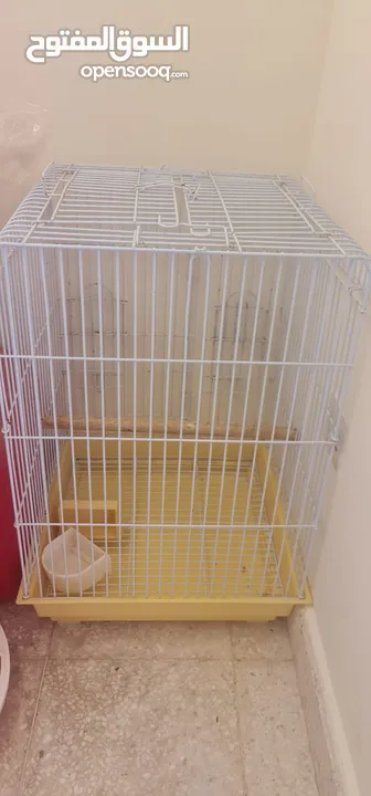 Birds cage for parrots and feeding