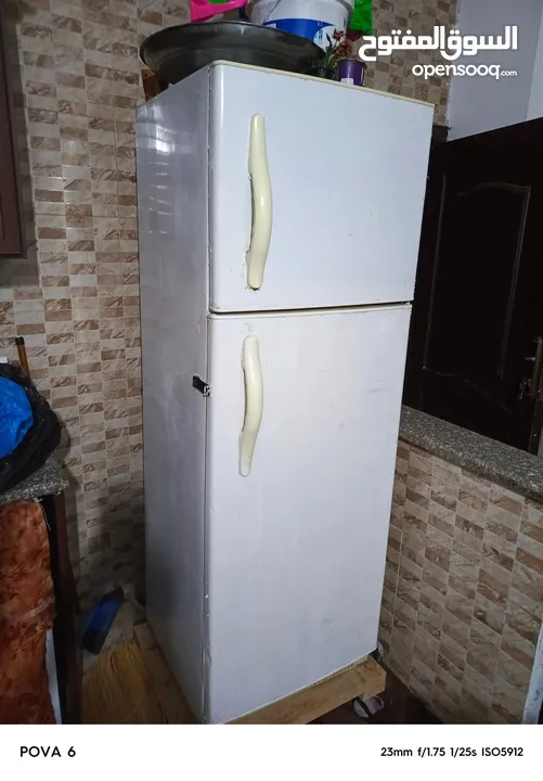 115.............. عين الباشا ....