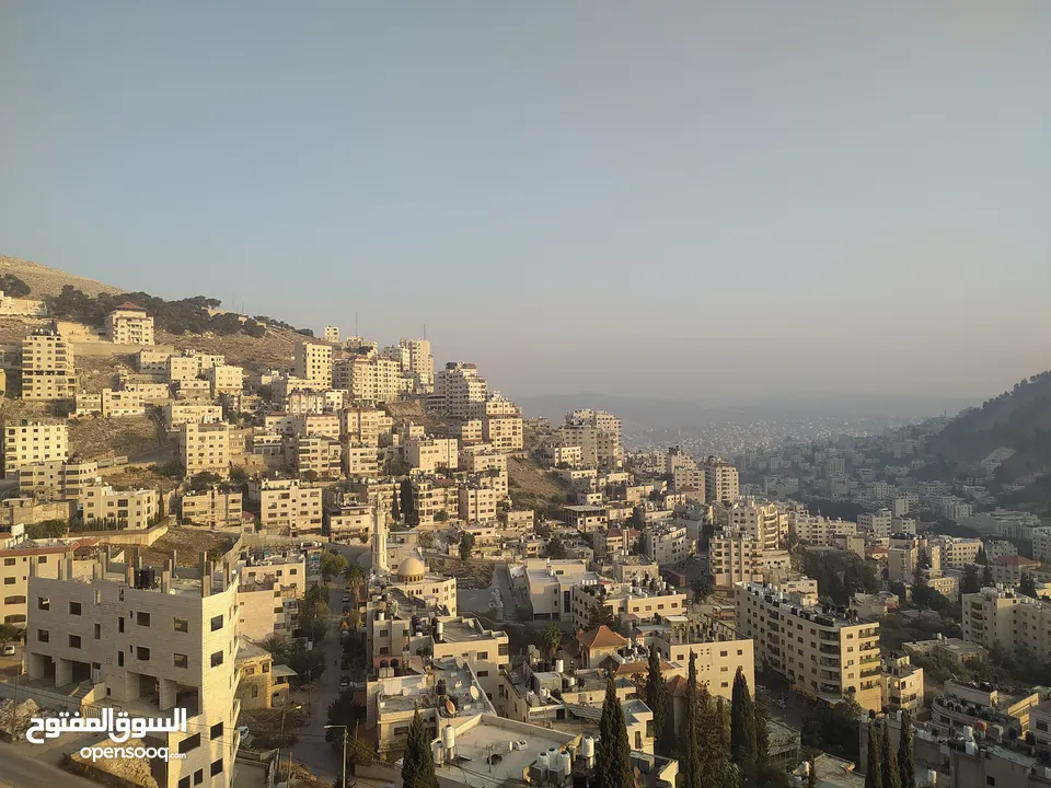 شقه مشطبه 30% ( مقصوره )