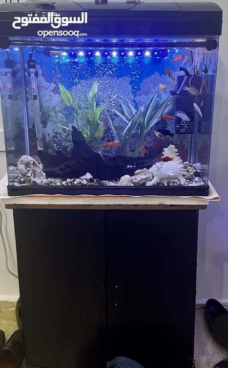 Big Aquarium for sell