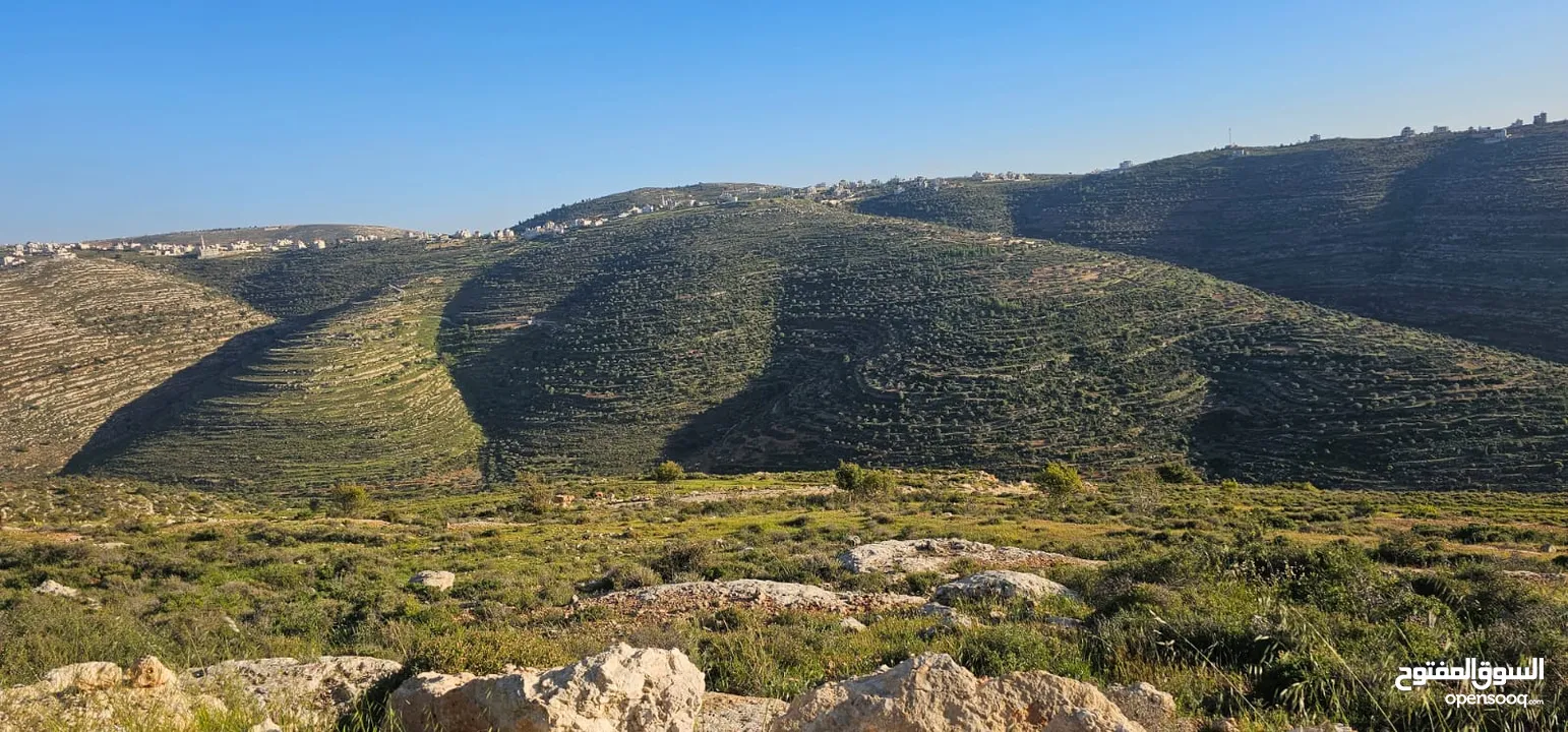 قطعة أرض للبيع من أراضي بلدة سنجل منطقة غرابة، مطلة على الساحل، منطقة A، قوشان طابو سلطة مستقل