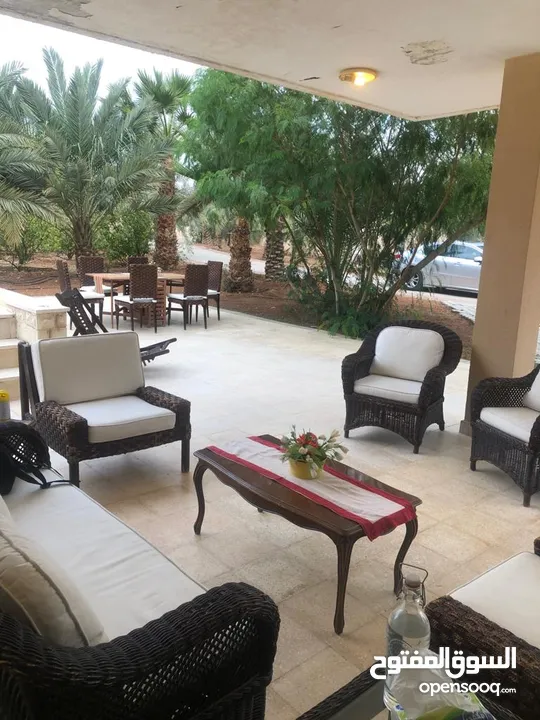 مزرعة في الشونة الجنوبية / غور نمرين - ref: 12165