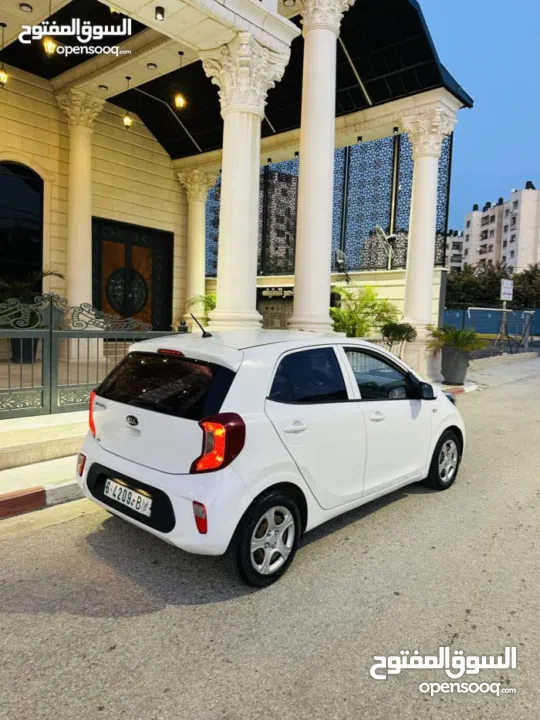 دهان شركة  فحص نخب السعر39000 كاش