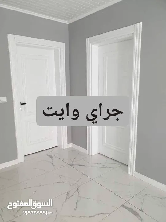 عمرو المصري للدهانات والطراشه والديكورات والعزل والصيانه العامه