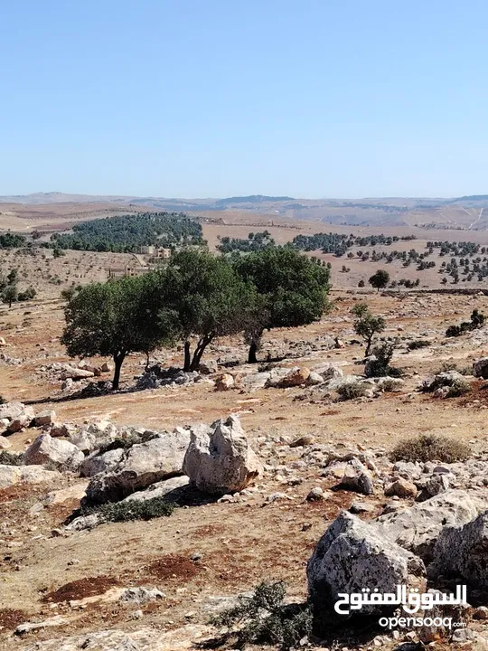ارض للبيع جرش عنيبه سكان المهندسين