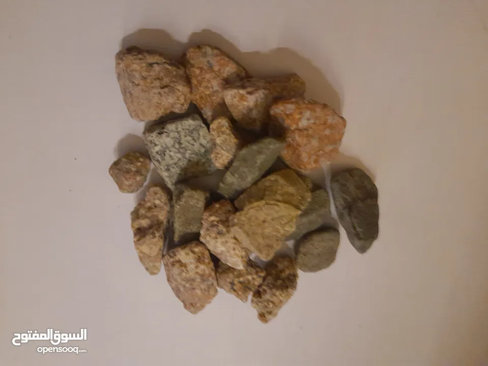 حوض سمك بسعر حرق اقرأ الوصف+عرض لفترة محدودة  بسعر حرق منافس للأخرين اقرأ الوصف