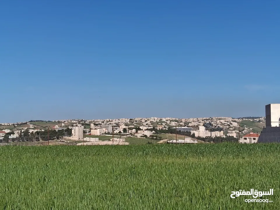 ارض للبيع في اجمل مواقع السرو